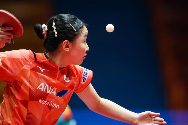 动来主导比 动来主导比